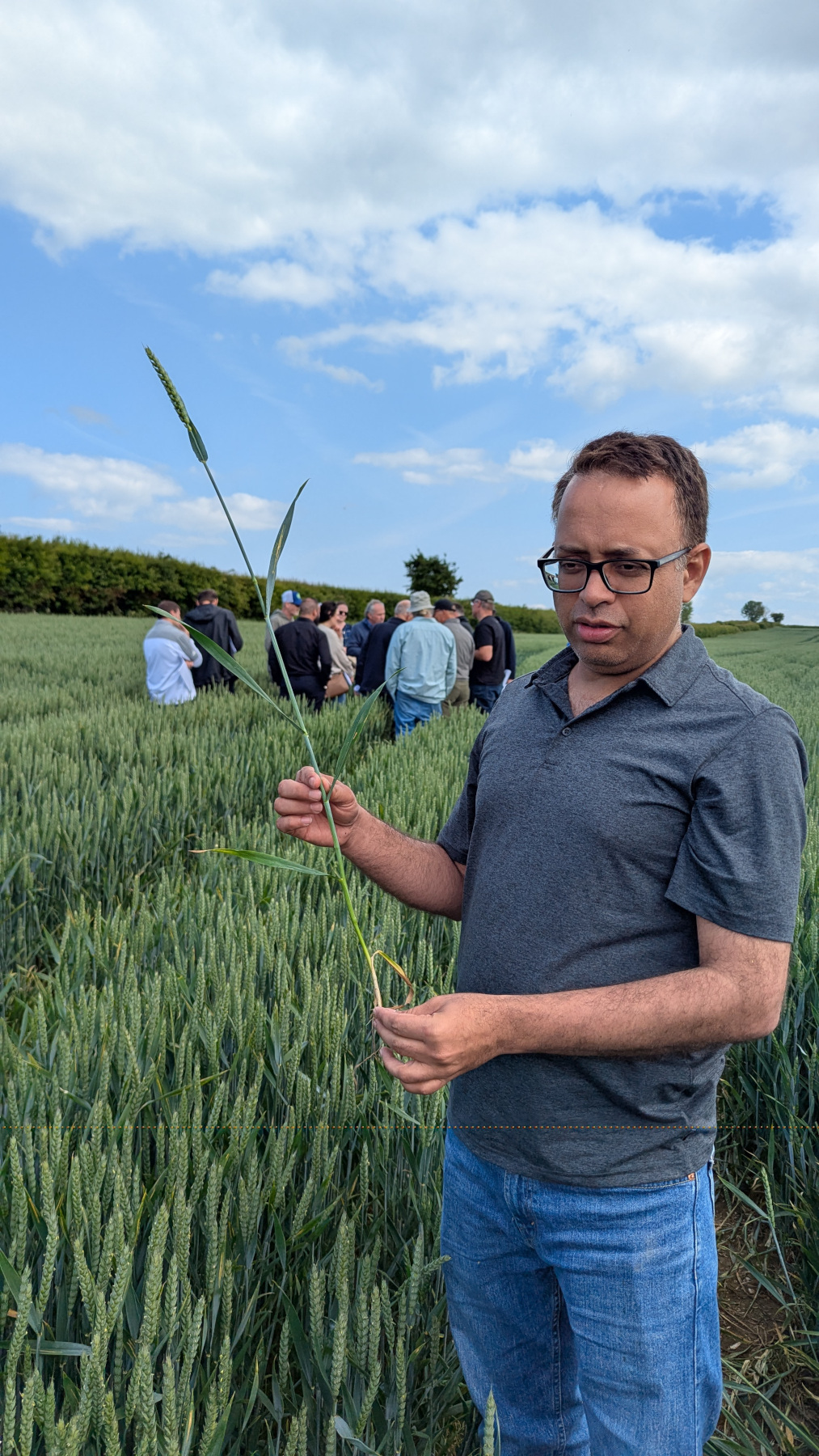 Mark Stubbs Farm (10).jpg